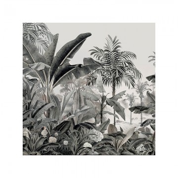 Lot de 6 dessous de verre - Jungle