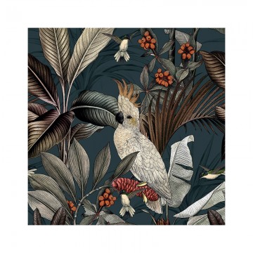 Lot de 6 dessous de verre - Cacatoès