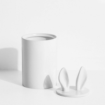 Boîte de rangement Curiosity